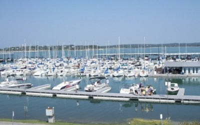 Get Rid of Ants in my Canyon Lake Home