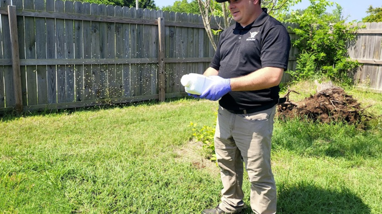 San Marcos Pest Control - Paladin Pest Control