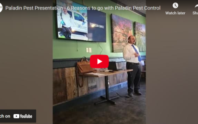 6 Reasons to go with Paladin Pest Control in Buda, Kyle, San Marcos and Hays County
