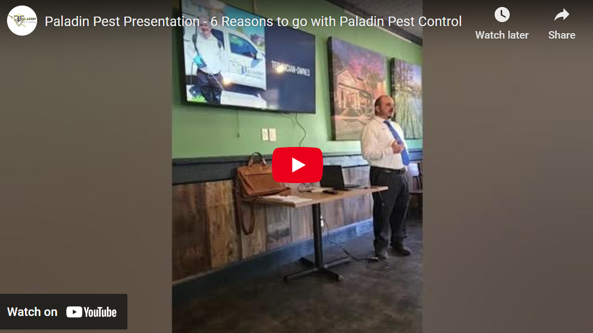 6 Reasons to go with Paladin Pest Control in Buda, Kyle, San Marcos and