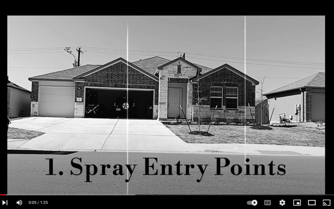 Buda TX Pest Control time-lapse by Paladin Pest Control