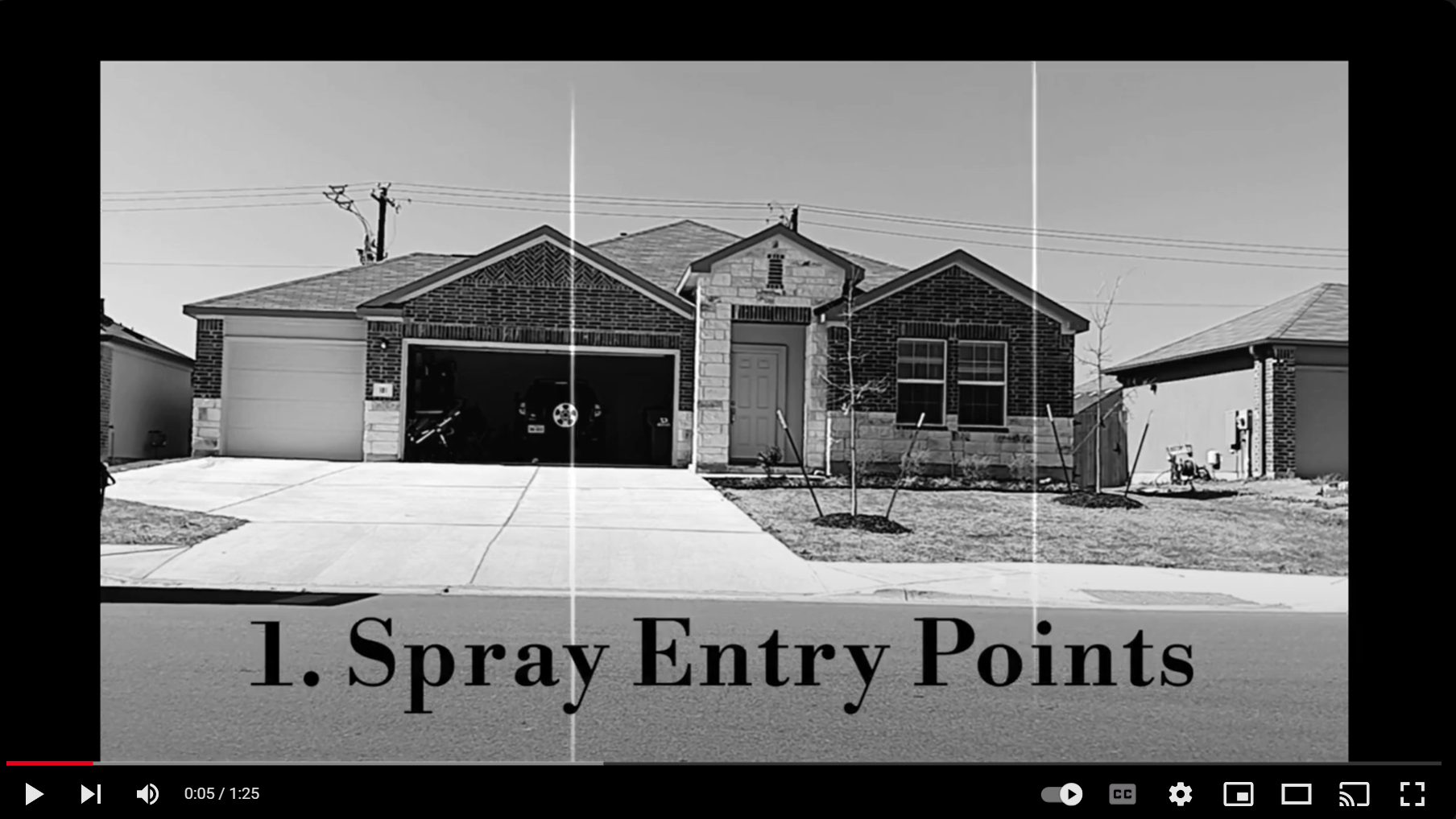 Buda Pest Control Time Lapse video