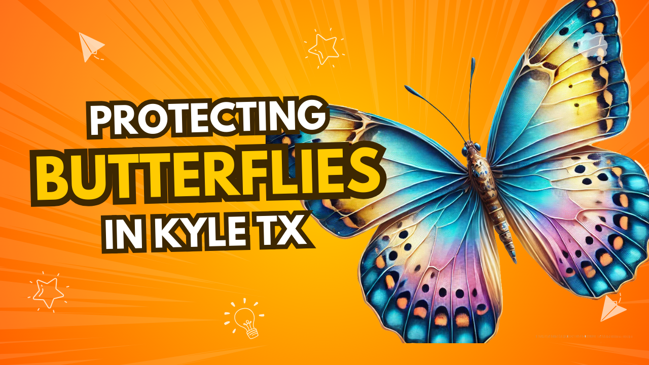 Kyle TX Pest Control - Protecting Butterflies