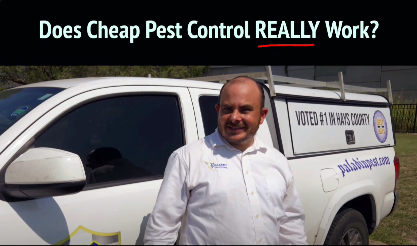 Does cheap pest control really work?