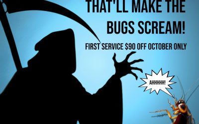 October Pest Control Discount