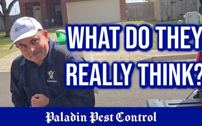 BREAKING: What do the people of Hays County think of Paladin Pest Control?