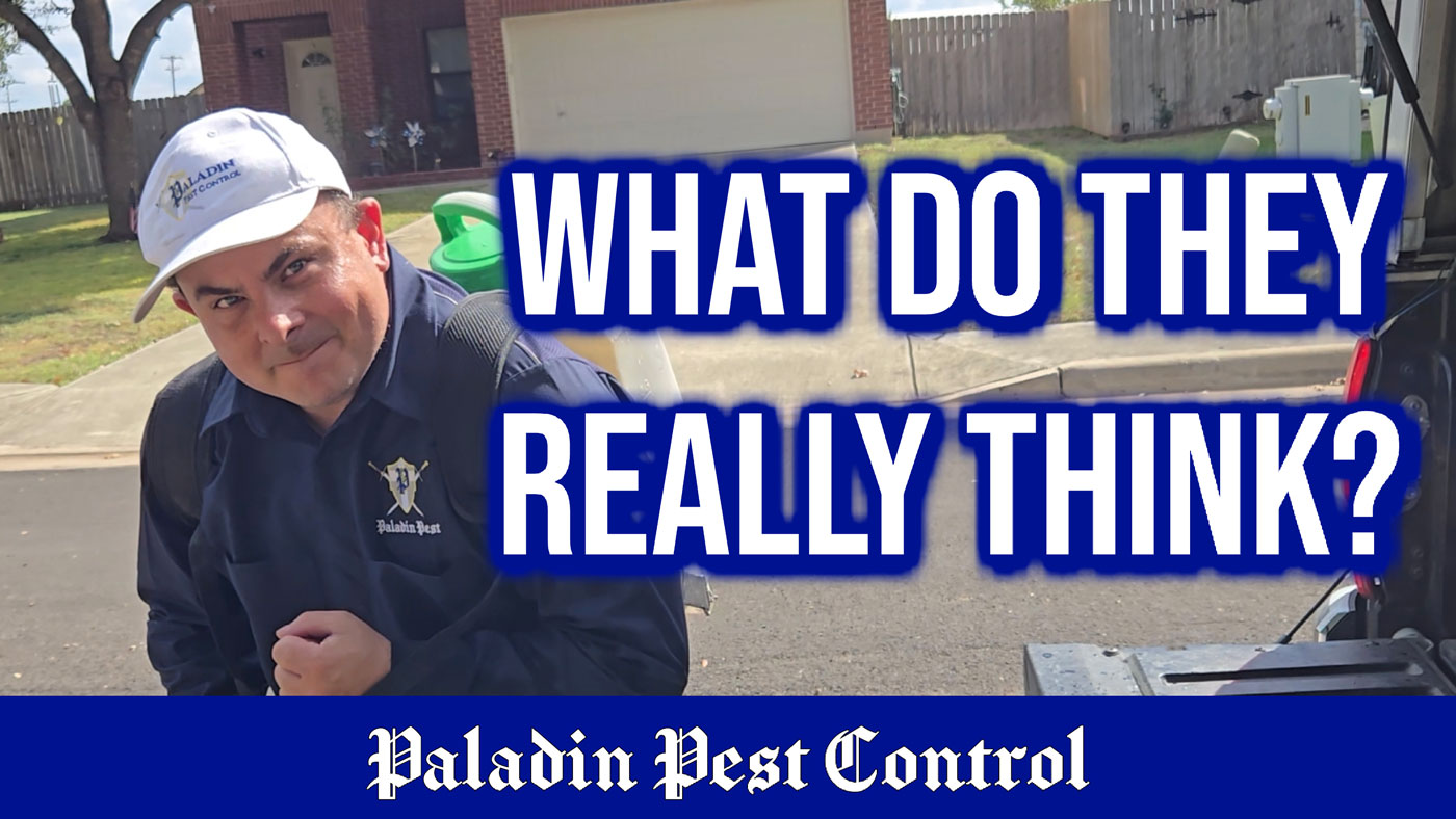 Paladin Pest Control