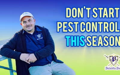 Buda TX Pest Control—When is the best time to start
