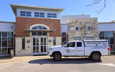 How Much Does Pest Control Cost?