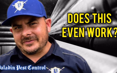 Do In-Wall Pest Control Systems Really Work?