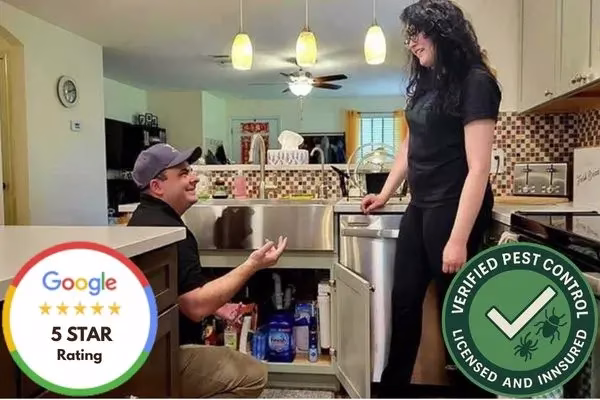 5 star pest control - verified and insured