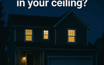 Critters in the Ceiling