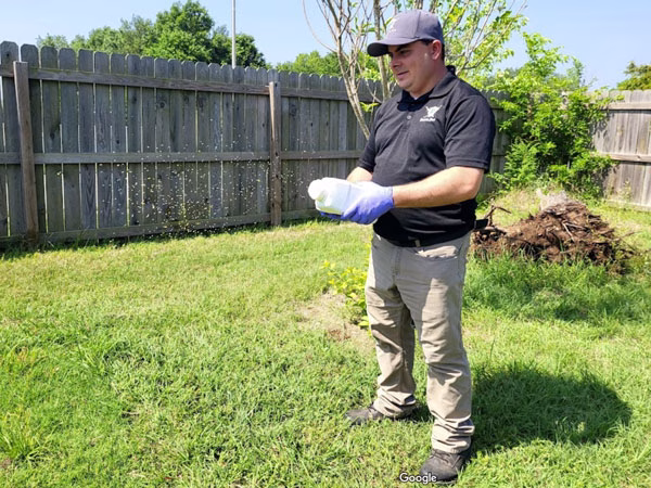 Paladin Pest Control ant treatment in Seguin TX