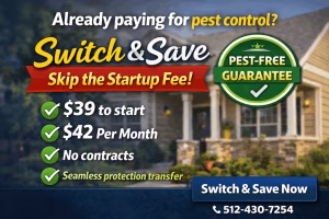 Already paying for pest control? Switch to Paladin and skip the startup fee. Start for $39 with reliable monthly protection and no contracts.
