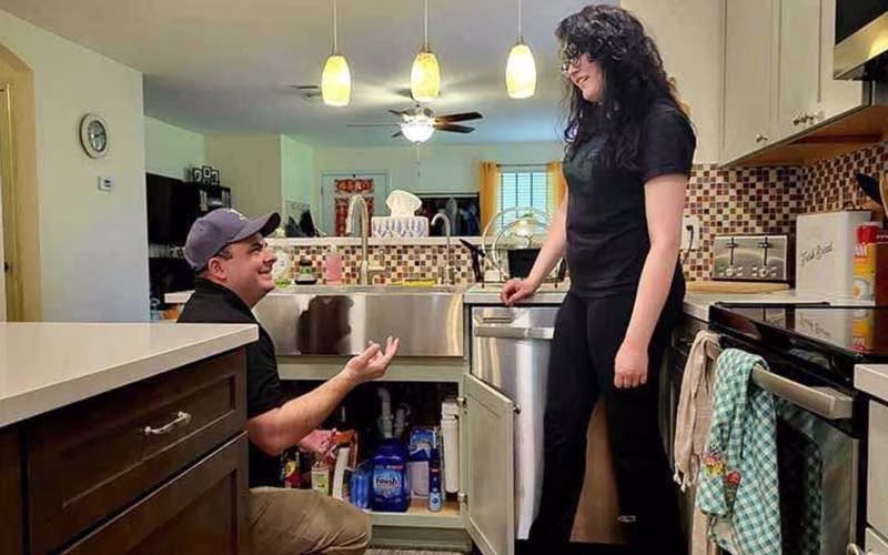 Pest Control Interior treatments