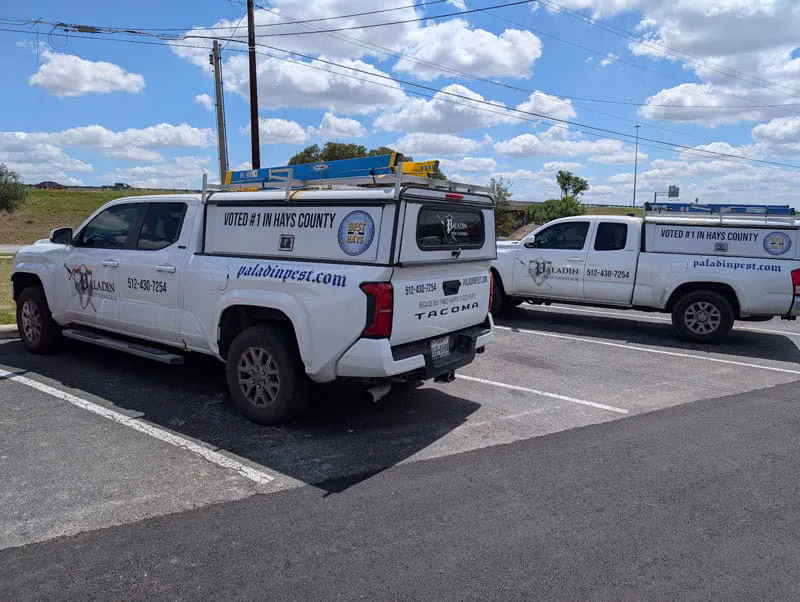 Paladin Pest Control trucks, voted number one in Hays County