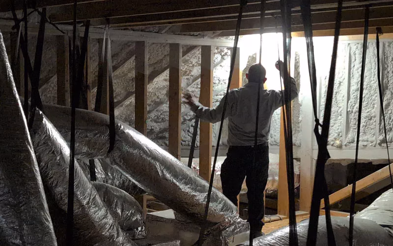 Attic Pest Control